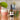 Support post-workout healing and overall well-being with Hashies® Recovery Terpene Spray, formulated to soothe muscles, reduce inflammation, and promote faster recovery. Infused with therapeutic terpenes, this blend is perfect for athletes, active individuals, or anyone needing a natural wellness boost.