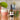 Recharge your body and mind with Hashies® Energy Terpene Spray, formulated with uplifting botanical terpenes to enhance alertness, stamina, and motivation. This natural energy booster delivers a revitalizing effect, helping you power through your day without caffeine crashes. Perfect for morning routines, pre-workout boosts, or a midday pick-me-up.